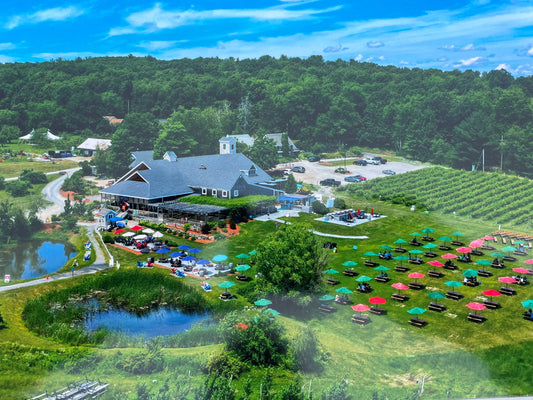 Why Supporting Nashoba Valley Winery Benefits Everyone in Massachusetts