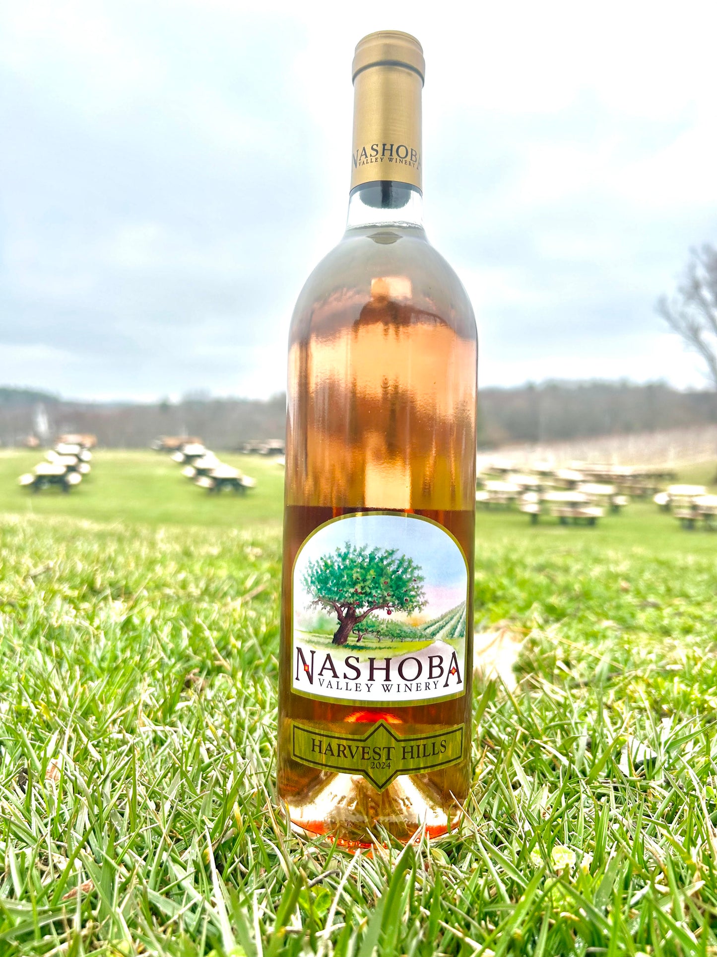 Harvest Hills Rosé - April Wine of Month