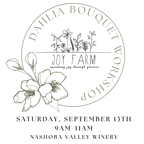 Make Your Own Dahlia Bouquet  - Saturday, September 13th, 9am-11pm
